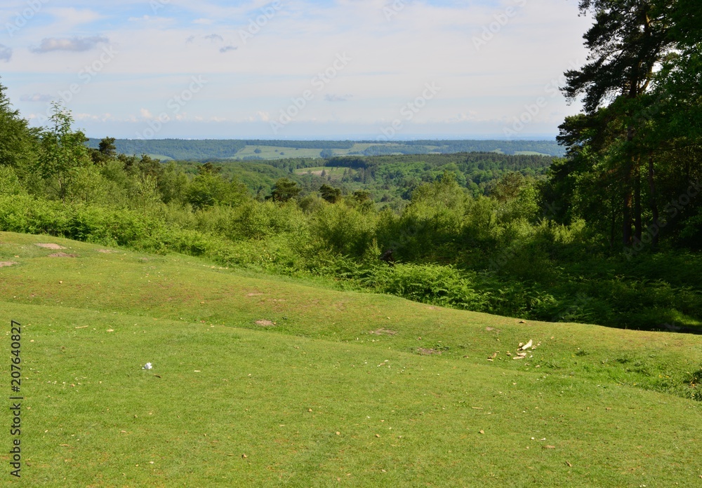 Naklejka premium Looking down at the Sussex countryside from Leith hill in Surrey.
