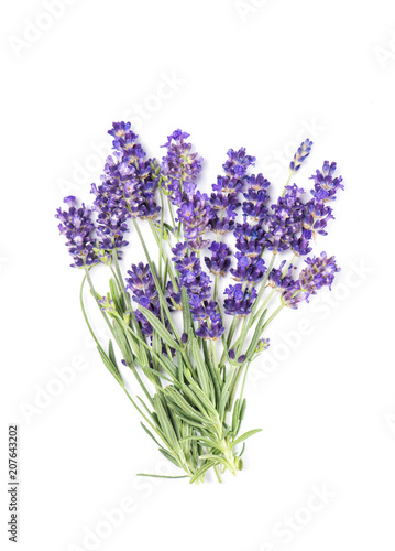 Lavender flower bunch isolated white background