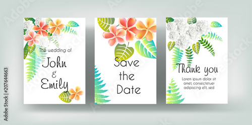 Wedding vector floral invite invitation thank you, orange plumeria ,rose white flower