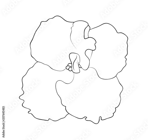 Vector illustration, isolated violet flower in black and white colors, outline hand painted drawing