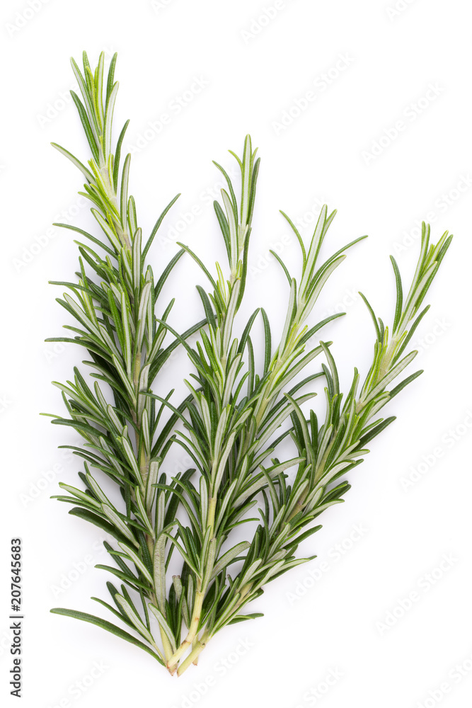 Fototapeta premium Przyprawa rozmaryn na białym tle.