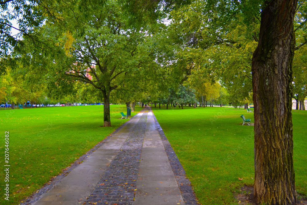 Way between trees through a park with green and coloured grass