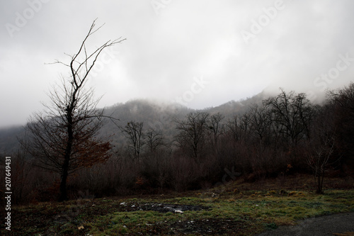 Landscape with beautiful fog in forest on hill or Trail through a mysterious winter forest with autumn leaves on the ground. Road through a winter forest. Magical atmosphere. Azerbaijan