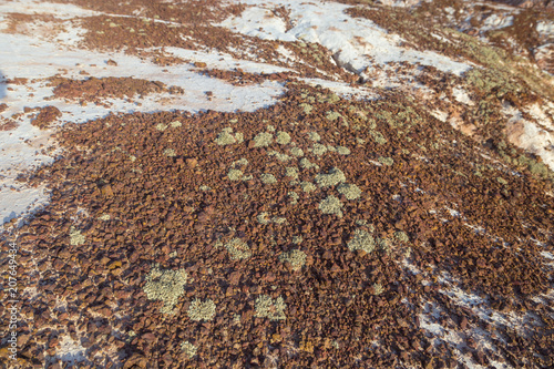 Red soil with with fragments of saline soil and lichen