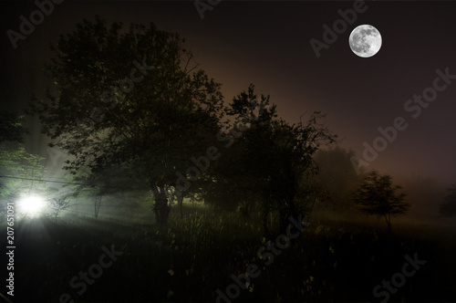 Strange silhouette in a dark spooky forest at night, mystical landscape surreal lights with creepy man