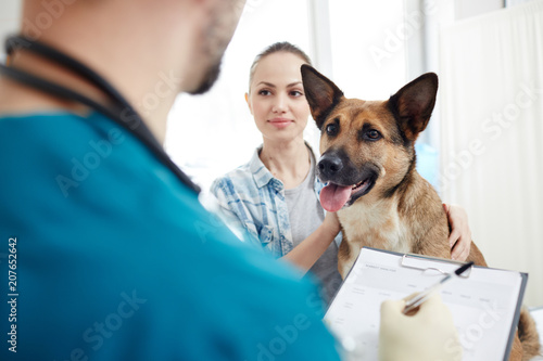 Fototapeta Naklejka Na Ścianę i Meble -  Shepherd sog and its owner looking at veterinarian making prescriptions and giving medical advice