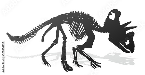 Skeleton of ancient big dinosaur.  