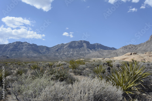 Photography Red Rock National Park