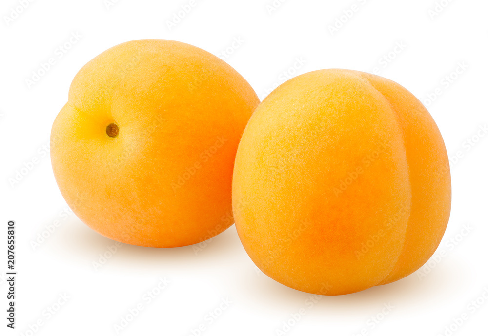 apricot isolated on white background, clipping path, full depth of field apricot isolated on white background, clipping path, full depth of field
