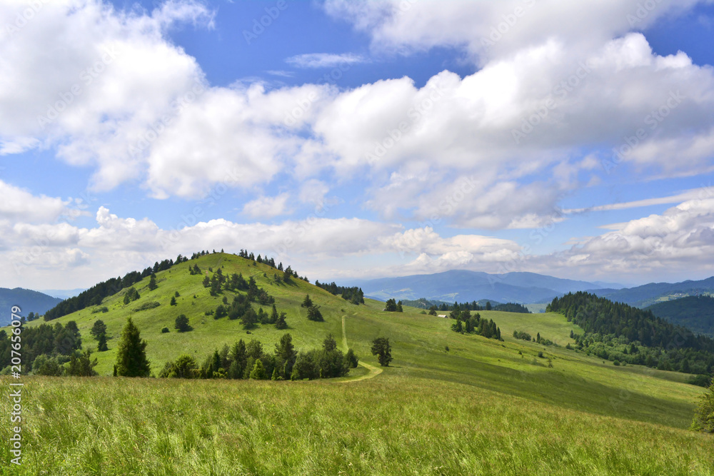 Summer  landscape in Pieniny mountains, near to Szczawnica, Poland
