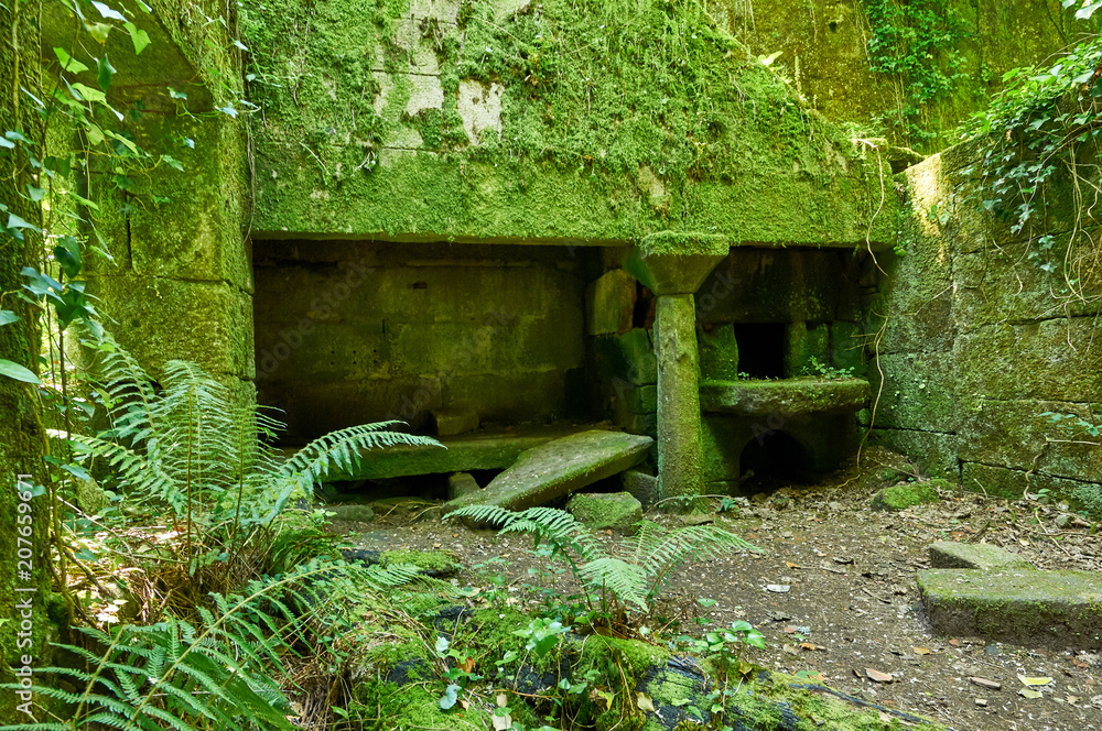 Old ruins of a Galician kitchen called Lareira