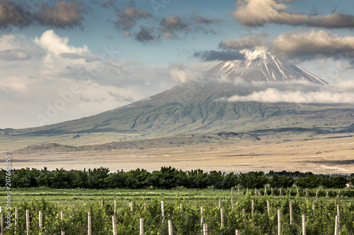 Mount Ararat in a landscape of Armenia
