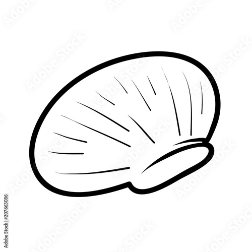 Coloring book, Shell