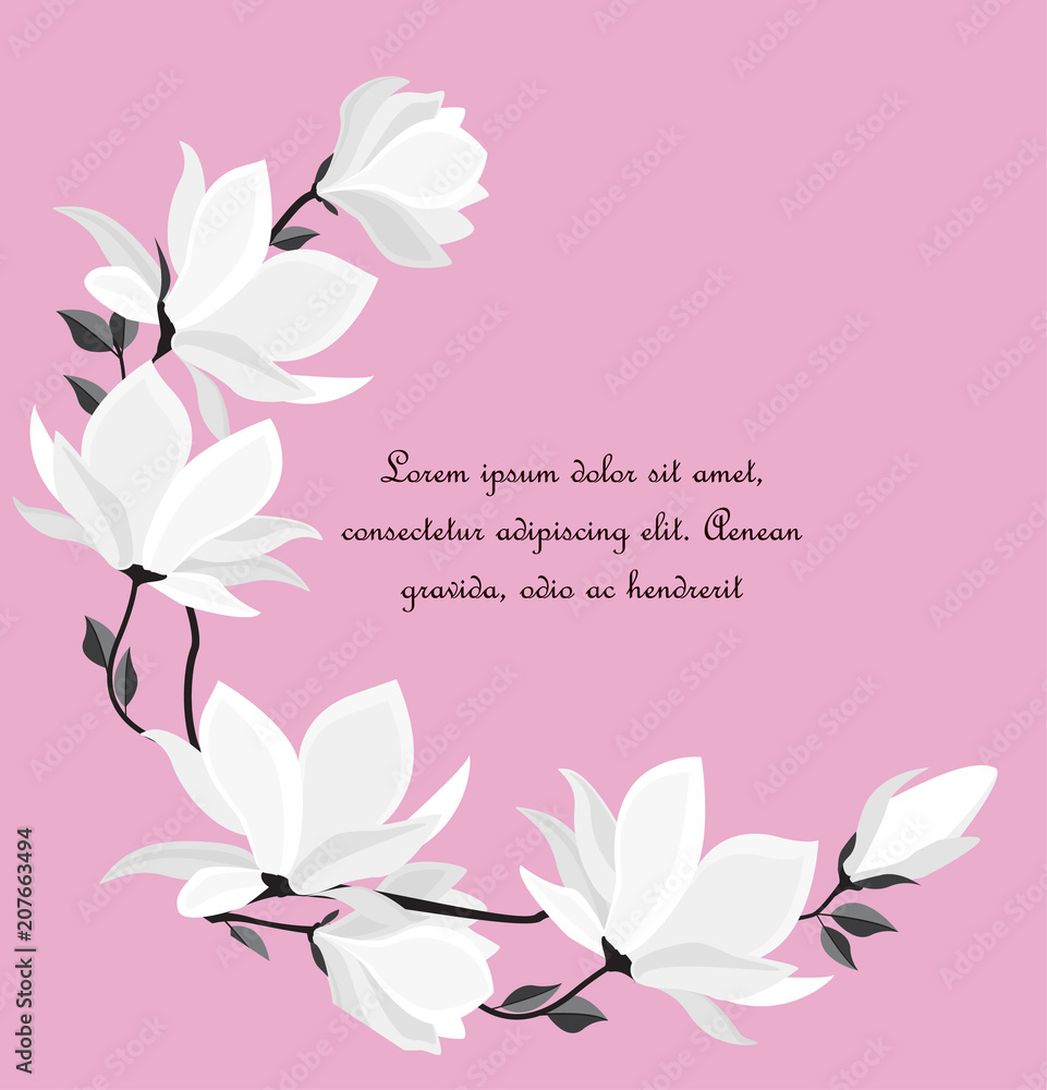 Vector illustration branches with floral decoration. Spring magnolia. Frame with white flowers