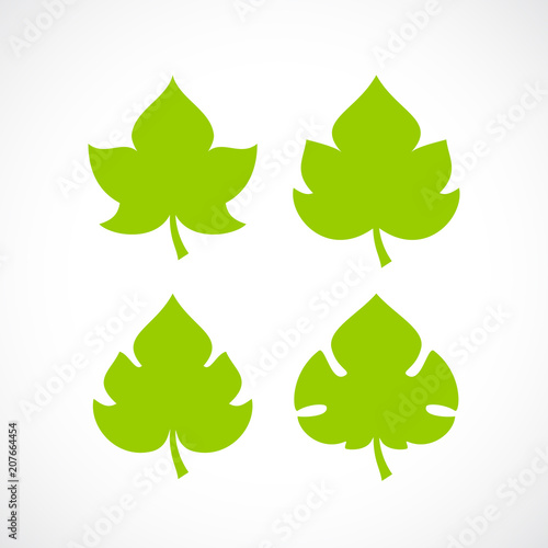 Leaf natural vector icon