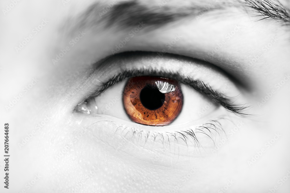 A beautiful insightful look man's eye. Close up shot. A beautiful insightful look man's eye. Close up shot.