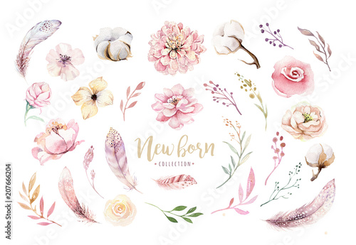 Watercolor boho floral wreath with cotton and peonies . Bohemian natural frame: leaves, feathers, flowers, Isolated on white background. peony decoration illustration. Save the date, weddign design