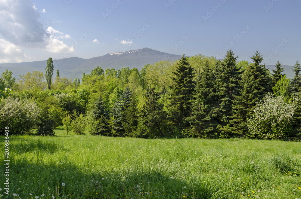 Landscape of springtime nature with mix forest in the South park and Vitosha mountain, Sofia, Bulgaria Landscape of springtime nature with mix forest in the South park and Vitosha mountain, Sofia, Bulgaria
