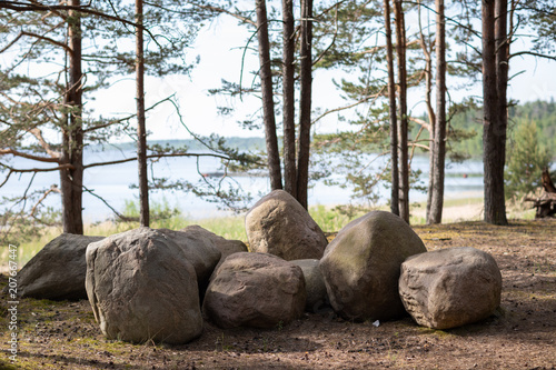 large stones in the forest photo