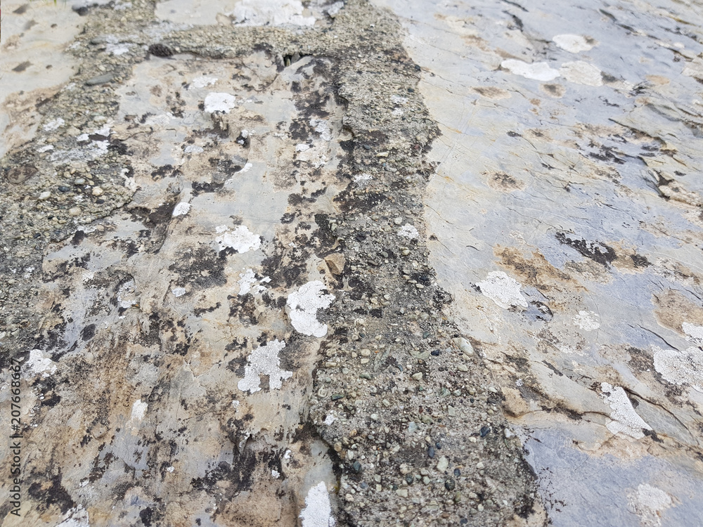 Old Concrete floor or cement floor texture background. Old Concrete floor or cement floor texture background.