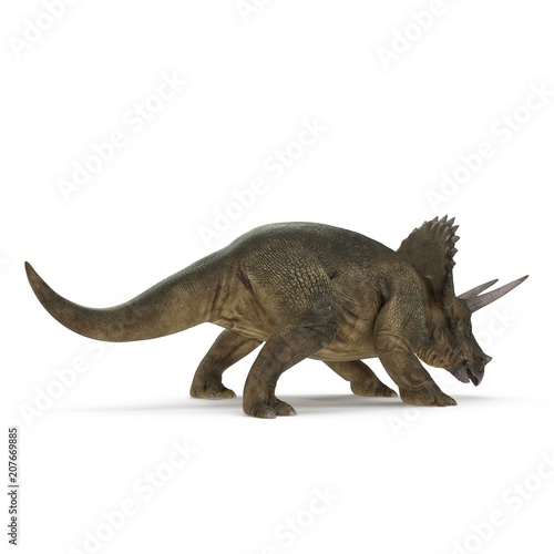 Fototapeta Naklejka Na Ścianę i Meble -  Triceratops dinosaur on white. 3D illustration