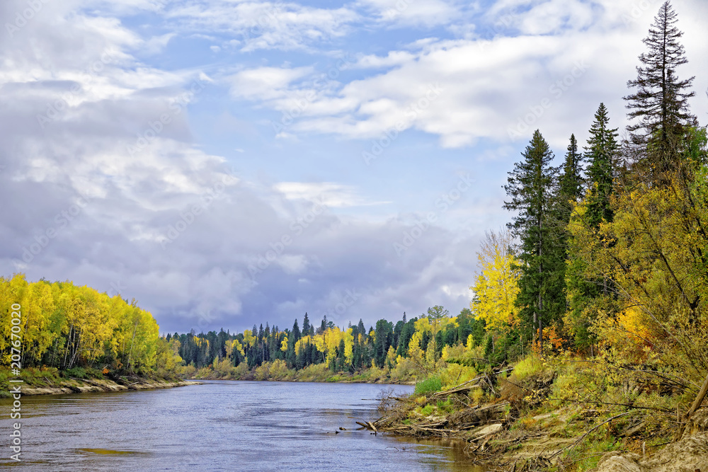 Autumn noon in the Siberian taiga, view from the river