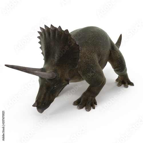Triceratops dinosaur on white. 3D illustration © 2dmolier