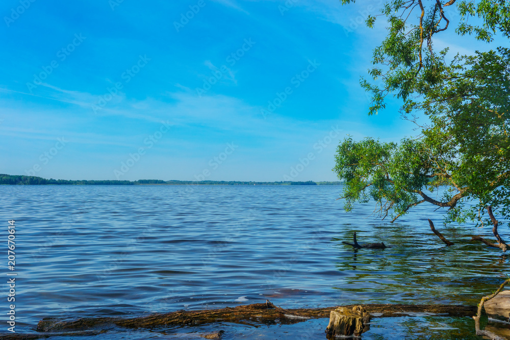 Lakes in the forests of Belarus