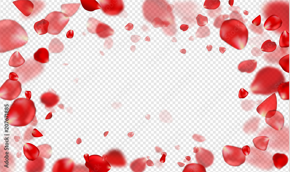 Falling Red rose petals on a transparent background.Vector illustration