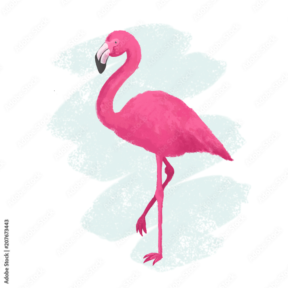 Fototapeta premium Letni print pink flamingo.