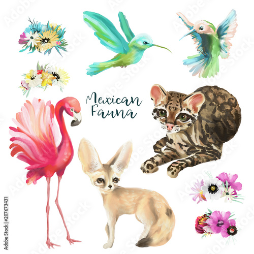 Mexican fauna - flamingo, fennec fox, hummingbird and ocelot cat (leopard, jaguar) with flower crowns, wreaths, floral bouquets isolated on white © creationsofanna