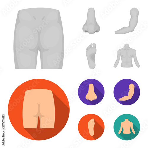 Buttocks, nose, arm, foot. Part of the body set collection icons in monochrome,flat style vector symbol stock illustration web.