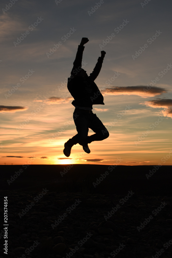 custom made wallpaper toronto digitalAlegria