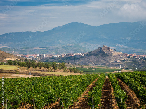 Foto Rioja vineyard landscape