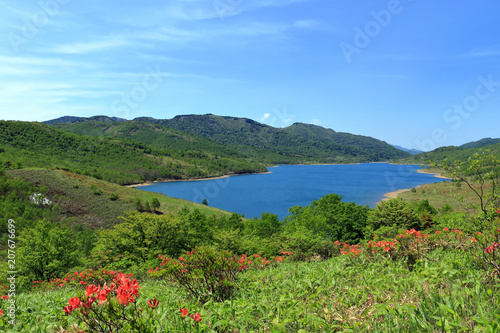 初夏の野反湖