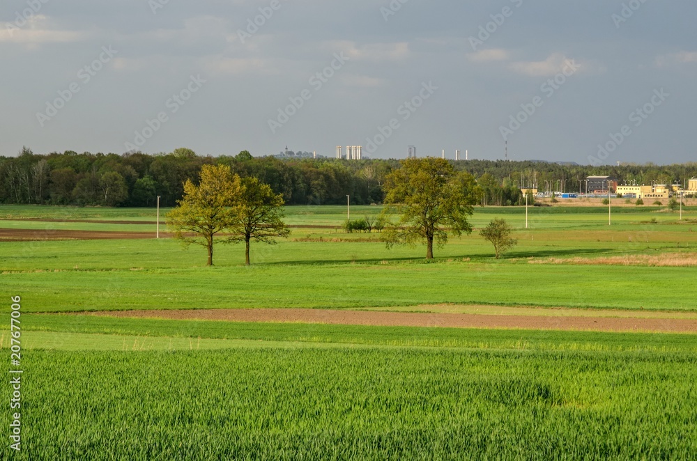 Rural spring landscape. Beautiful green meadow in the countryside. Rural spring landscape. Beautiful green meadow in the countryside.