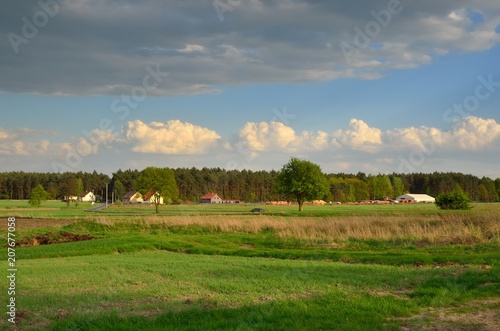 Rural spring landscape. Beautiful green meadow in the countryside.