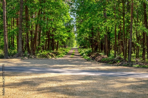 Beautiful spring landscape. Cross roads by a green clearing in the forest.