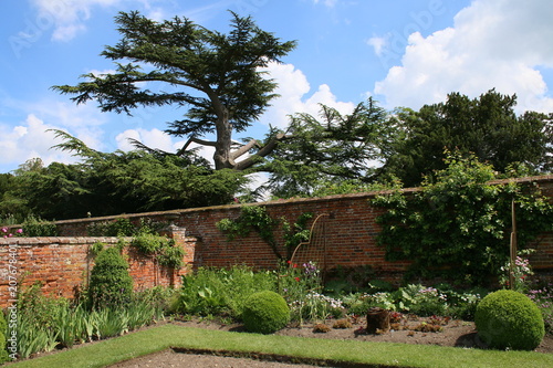 Landscape view of corner of walled garden with borders of plants flowers, and freshly dug soil ready for vegetables withpine and yew trees in background on warm summer day blue sky white clouds photo