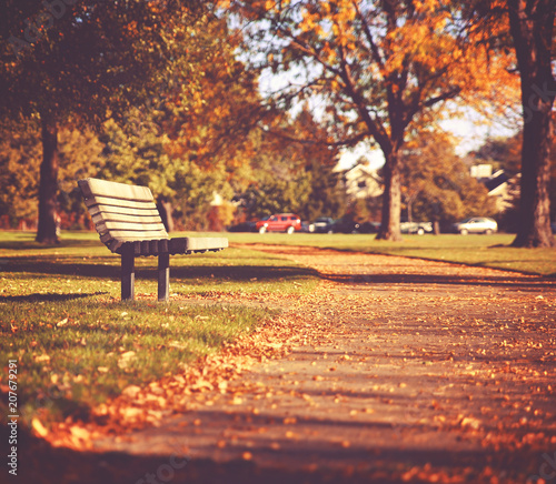 single bench on a path in a park during fall with leaves on the ground at sunset toned with a retro vintage filter instagram app or action effect 