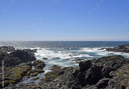 rugged Pacific Rim coastline at Amphitrite Point towards the Barkley Sound , Ucluelet Vancouver Island British Columbia Canada