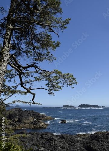 view from Amphitrite Point towards the Barkley Sound and the archipelago of the Broken Group Islands, Ucluelet Vancouver Island British Columbia Canada