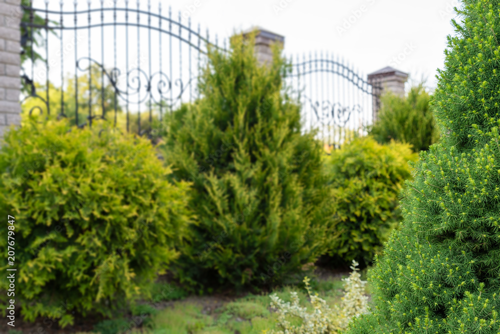 Fototapeta premium Landscaping, gardening services. Focus on foreground, soft background with copy space for text