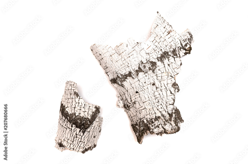 Birch bark isolated on white background. Natural decoration elements. Birch bark isolated on white background. Natural decoration elements.