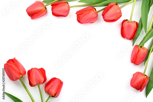 Beautiful red tulips on white background with copy space for text. Top view, flat lay