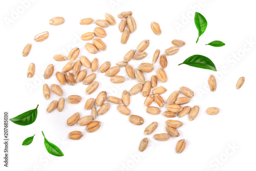 wheat grains decorated with green leaves isolated on white background. Top view