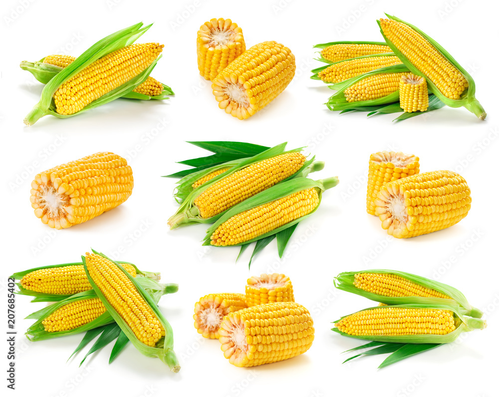 Corn on the cob kernels - obrazy, fototapety, plakaty 