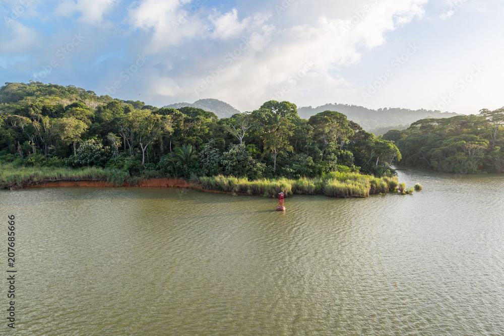 Naklejka premium Jungle of the Panama Canal.