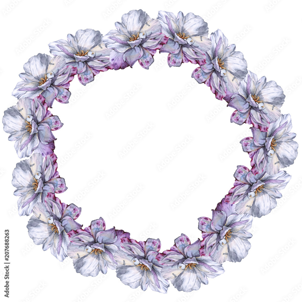 wreath of roses. Isolated on white background. wreath of roses. Isolated on white background.