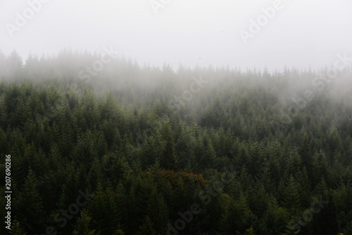 Foggy Mountain Morning